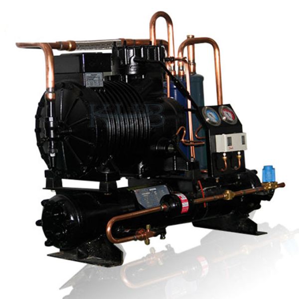 Unidade de alta temperatura de condensação água-de refrigeração de alta qualidade Eco-amigável do congelador da sala fria dos refrigeradores da unidade de CA-0300 KUB 3HP