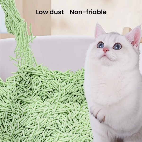 Litière pour chat au tofu au thé vert qui désodorise bien, 1,8 mm, litière pour pot
