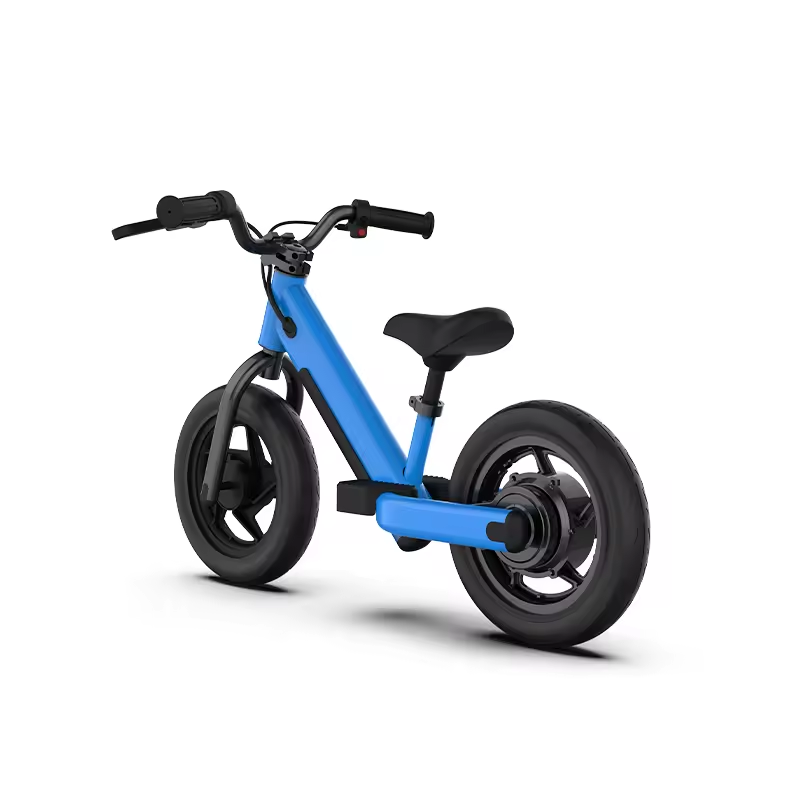 2024 AOTONG MOTOR Electric 2 Wheel Balance Scooter with Disc Brake and 16
