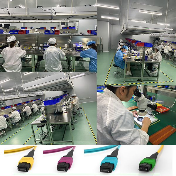 E2000 Optic Patch Cord SM Simplex LSZH G652D G652A 3.0mm Fiber Optic Jumper