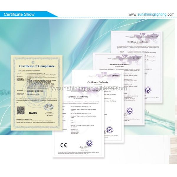 3000K-6500K Color Temperature Stainless Steel LED Buried Light for Landscape Lighting