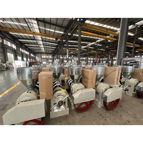 Electrical Control Panel  Cold Oil Press Machine Cotton seeds  Oil Extraction Machine