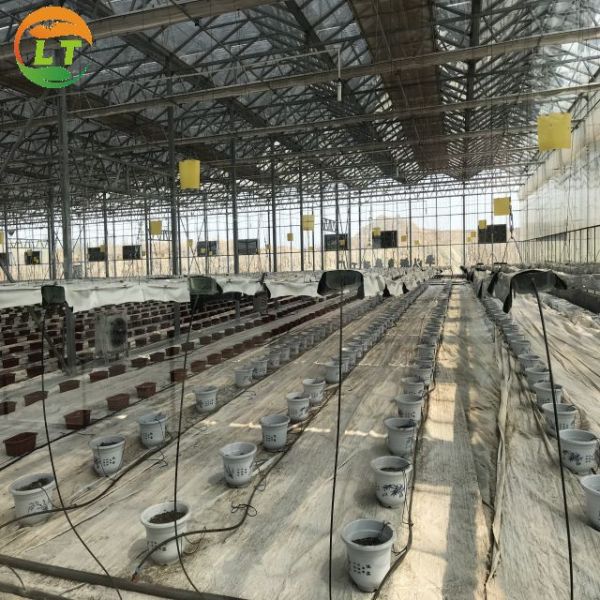 Литай многоразовые пленки теплицы 10-100 м длина для сбора гидропонных микрозеленых