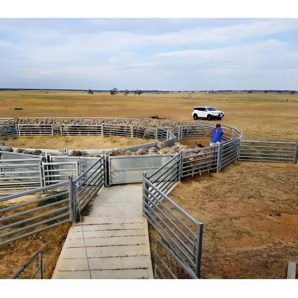 12 pies de trabajo pesado galvanizado de metal de pluma redonda ganado corral de la granja de cercas Panel