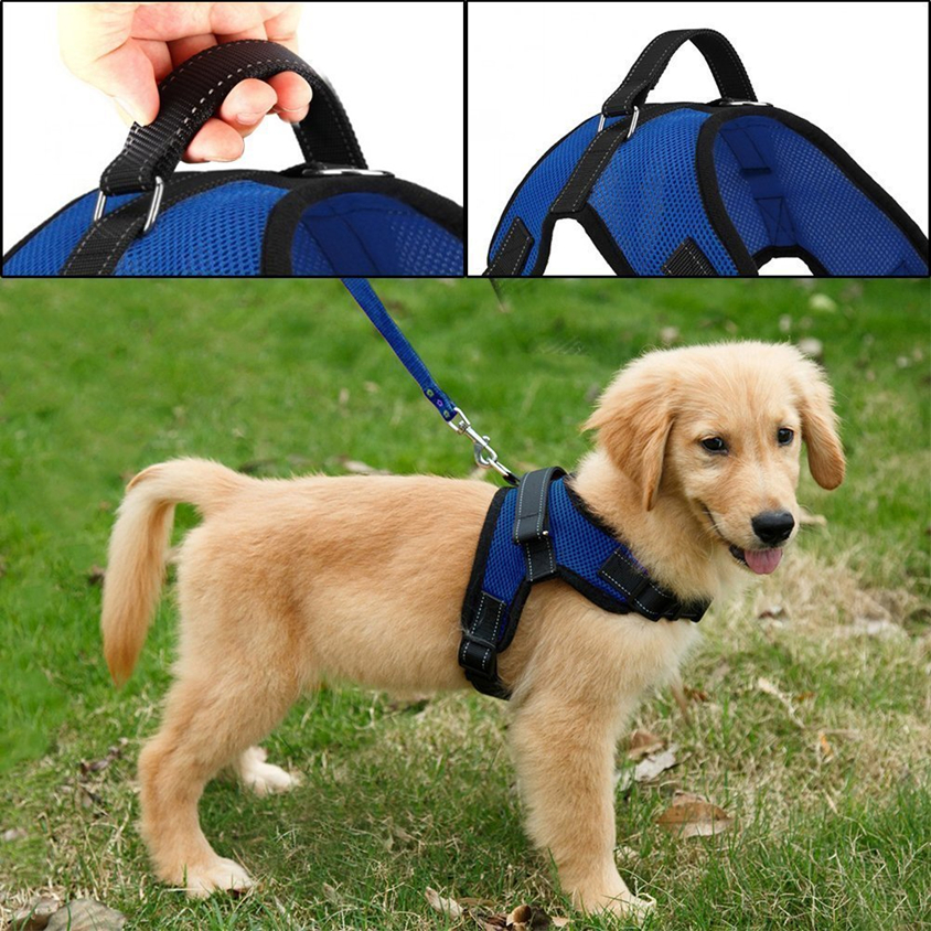 Мягкая Бреатабле проводка жилета сетки собаки для собак щенят небольших средних больших