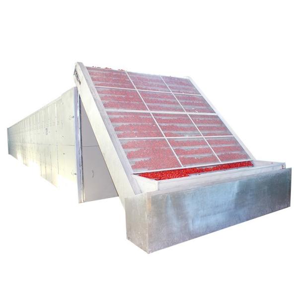 Dual Layer Fruit Mesh Belt Dryer SUS304