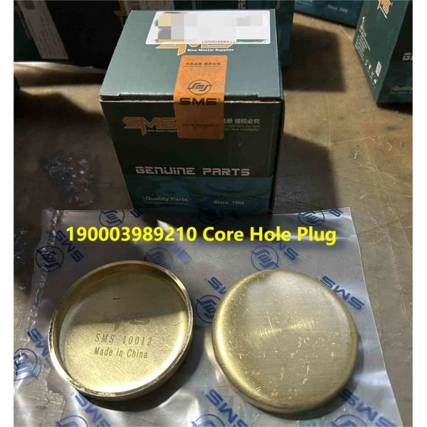 190003989210 Включатель ядра HOWO Части грузовика Включатель чашки