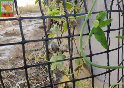 HDPE Garden Climbing Plant Support Netting , Garden Mesh Netting , Garden Plastic Mesh Fencing , Black Color