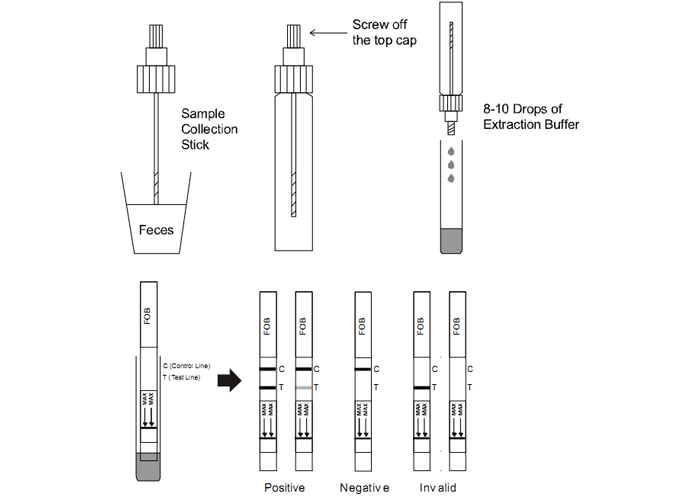 Feces Specimen FOB Test Kit 50ng/Ml Cut - Off 24 Months Shelf Life CE Approval