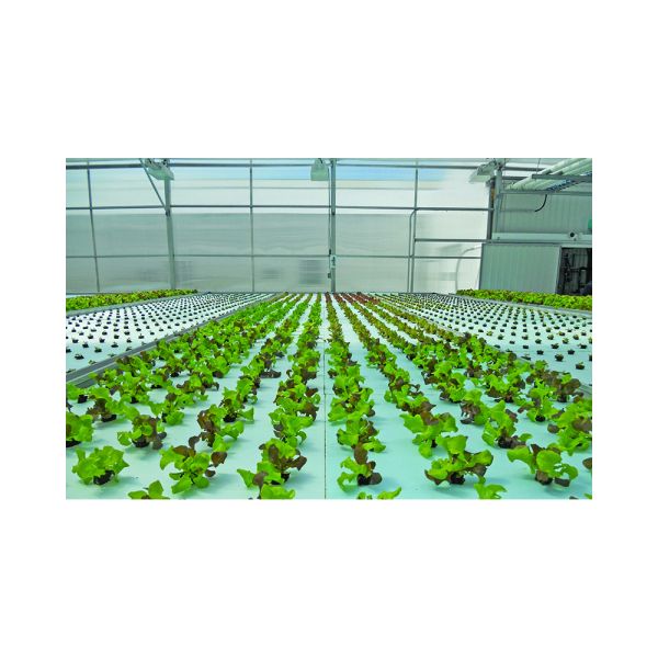 Wholesale high density soilless agriculture  PVC Hydroponic Tower