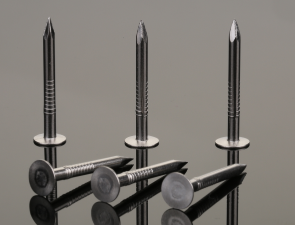 Clavos lisos de la caña de 30M M, clavo que enmarca de acero inoxidable para cubrir proyecto