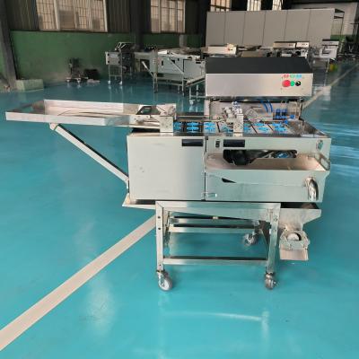 Machine à battre les œufs à trois rangées + système de rupture de coquille