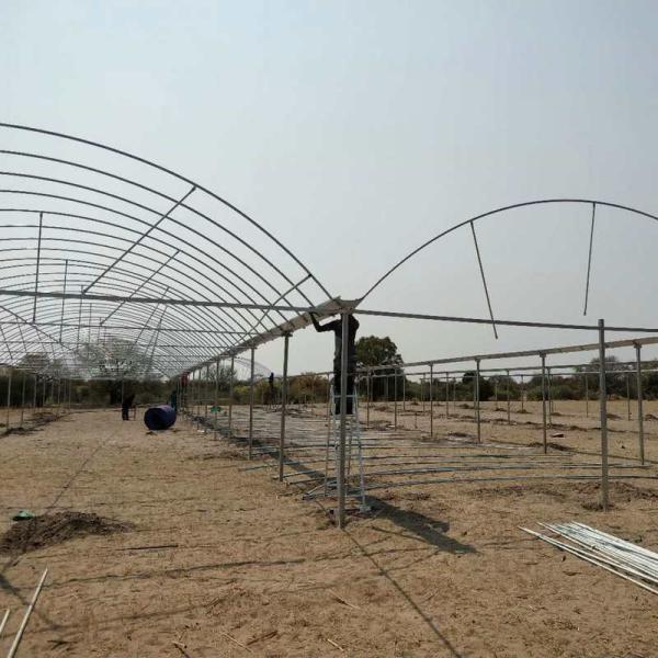Film Covered Greenhouse for Agriculture in Namibia Affordable and Customizable Height