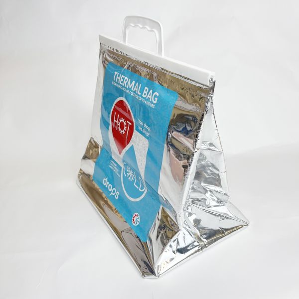 Foldable Disposal Plastic Insulated Thermal Cooler Bag For Food Lunch Delivery