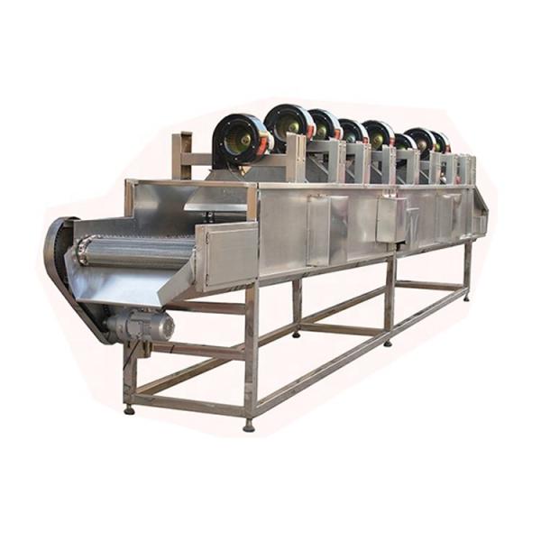 1000 kg/h Máquina automática de secagem de batatas fritas para alimentos e bebidas