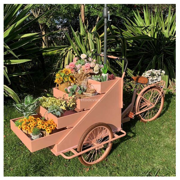Vegetable Processing Plant Mobile Coffee Bike Cart with L200.00cm*W95.00cm*H110.00cm