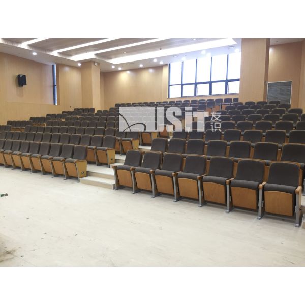 Soft Cushioned Upholstery Movie Theater Seats Cinema Seating Fashionable