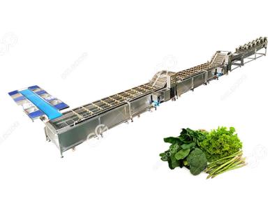 CE Certified Stainless Steel Commercial Vegetable Washer Washing Line Vegetable Processing Plant