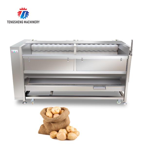 Filtros de limpeza do isolamento da batata da máquina da lavagem e de descascamento da batata de Tengsheng 3KW