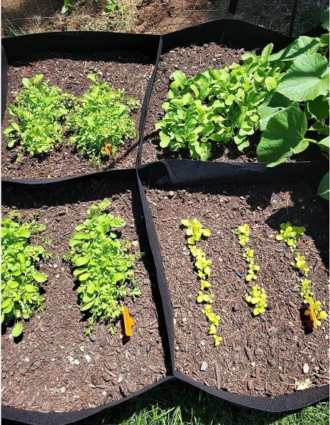 Fabric Raised Garden Bed 6x3x1ft Garden Grow Bed Bags for Growing Herbs, Flowers and Vegetables 128 Gallon