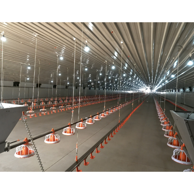 Prefab Steel Structure Chicken House Building , Light Steel Fabricated Building