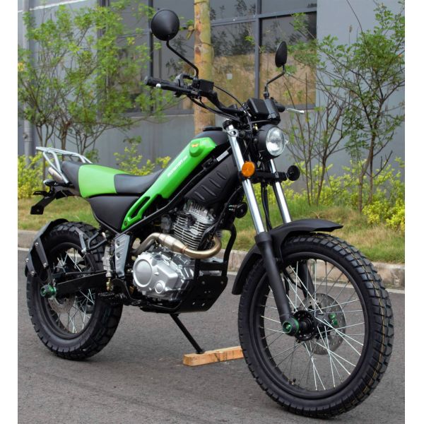 Automatic Dirt Bike 250cc Re250 Engine Double Pipe Muffler 12kw/8000rpm