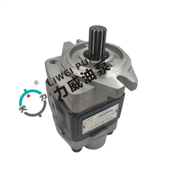 LIWEI Forklift Hydraulic Pump 91E71-10200 for FD20-30(F18C/CF18C/F14E/CF14E)/S4S
