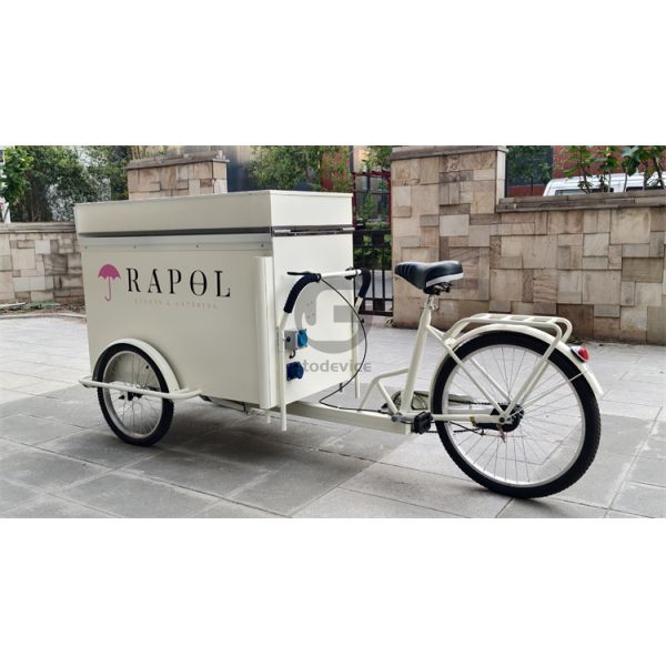 Street Food Delivery Bike with Display Freezer and Customized Snack Truck