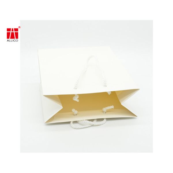 Бумажные мешки изготовленных на заказ одежд сумки подарка логотипа лоснистых розничные ходя по магазинам с ручками веревочки