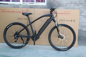 homens elétricos Mtb Ebike 29" das bicicletas da montanha meados de da movimenta