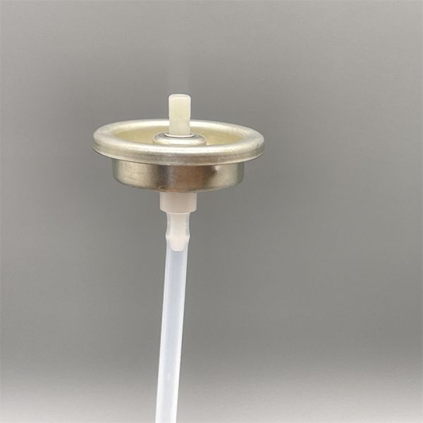 Premium Air Conditioner Cleaning Agent Valve for HVAC Systems with Durable Sealing Technology