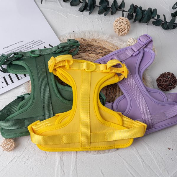 Neoprene Personalized Pet Dog Harness Leash and Collar Set for Adjustable Fit S