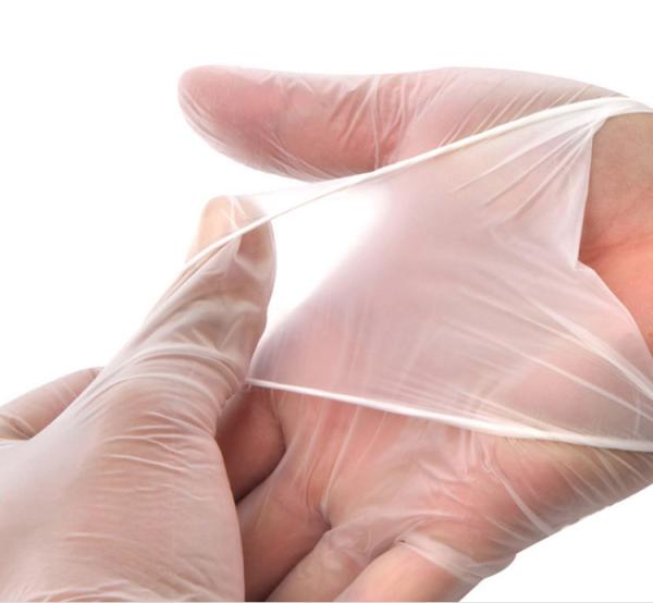 Food Service Powder Free Vinyl Gloves Latex Free Vinyl Gloves Powder Free Medium
