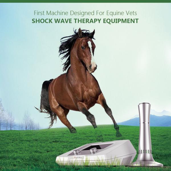 ESWT shockwave vet treatment veterinary extracorporeal shock wave therapy machine horse racing for animal