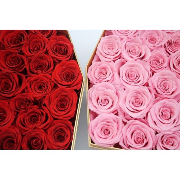 Factory wholesale real touch high quality multi color natural preserved roses at cheap price Christmas gift