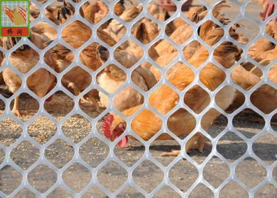 White HDPE Plastic Poultry Netting , Extruded Plastic Mesh With Hexagonal Hole