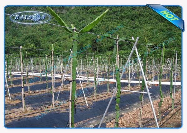 GV perméable à l'eau de tissu résistant hydrophile de lutte contre les mauvaises herbes