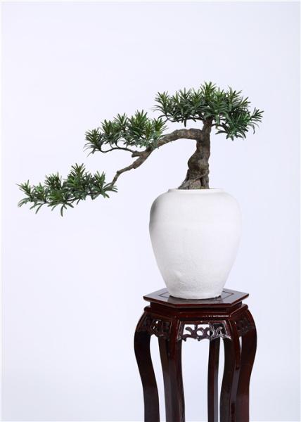 Podocarpus Artificial Pine Trees Outdoor Premium Grade Artificial Foliage Hand Made