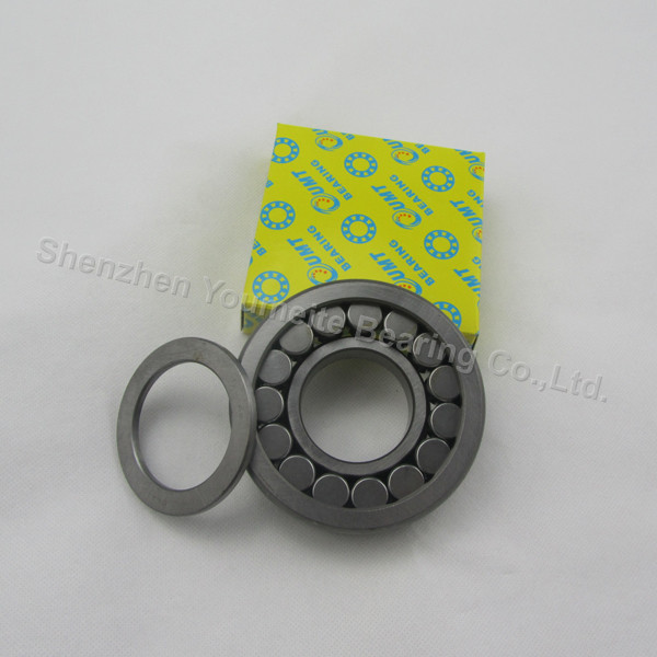 Factory Directly + High Precision Cylindrical Roller Bearing NUP204 for Construction Machinery