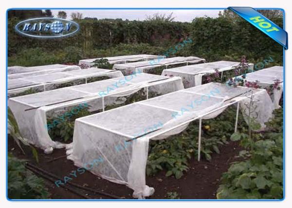 Anti tela não tecida UV da paisagem dos PP Spunbond para a tampa da planta da agricultura