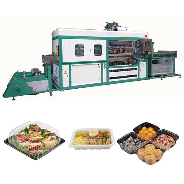 Automatic Fully Automatic Vacuum Blister Thermoforming Machine for PS/PET/PP/PVC Clamshell Packaging Box High Productivity