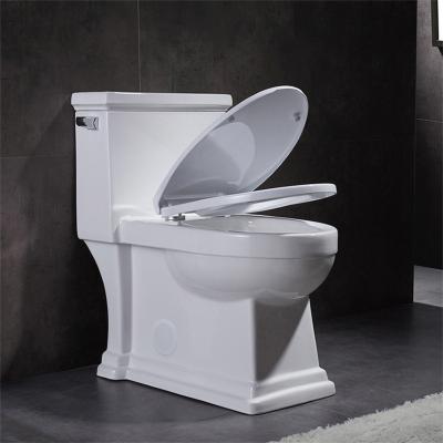 Ceramic Ada One Piece Skirted Toilet Washroom Water Closet Compact Elongated