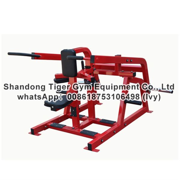 Strength Fitness Equipment / plate loaded gym fitness equipment / Seated Dip