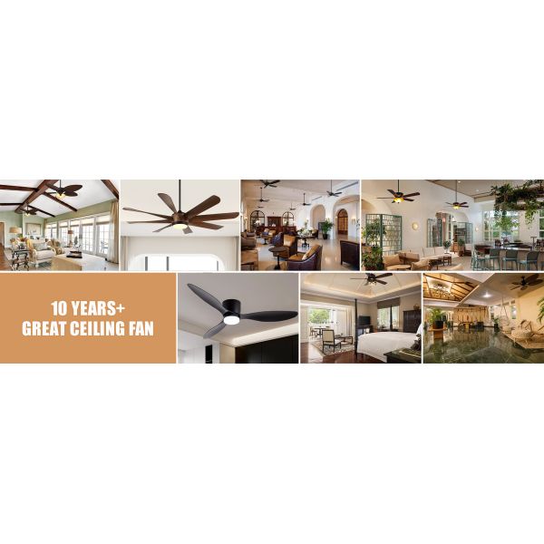 Oscillating Wall-mounted Ceiling Fan 3-Blade ABS Remote Control Outdoor Use BLDC Motor & Quiet Design