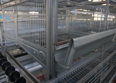 Several Tiers Poultry Farm Feeding System High Elasticity Reduce  Deformation
