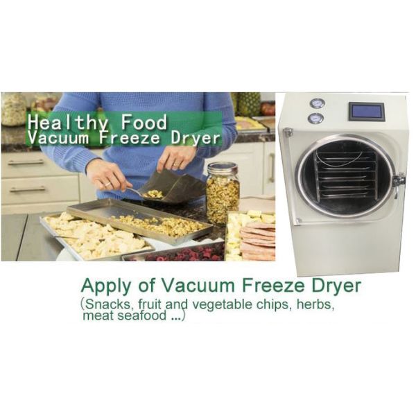 Облегченное энергопотребление сушильщика замораживания кухни небольшое бежать настоящее низкое