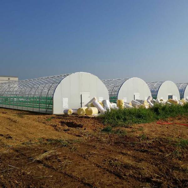Heat Preservation Heavy Duty Plastic Greenhouse With Customized Length