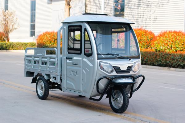 B02 1500W Camião eléctrico triciclo E Cargo Carga de entrega de triciclos