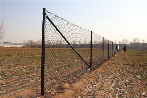 2.1mx10mx50x50mm galvanized steel 	8 foot chain link fence from  