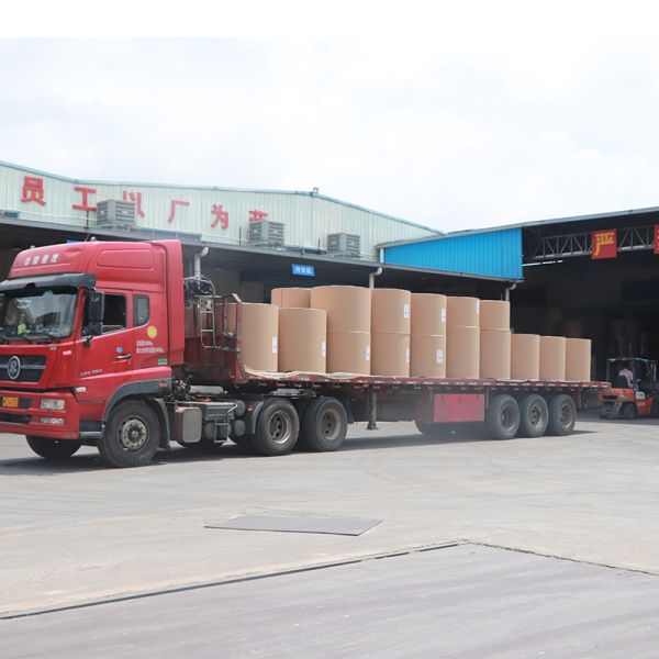 Coated Paperboard carton board White Back Duplex Board Sheet / Roll 250gsm ~ 450gsm